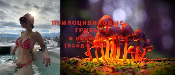 MDMA Каменка